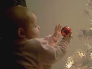 le sapin de noel de carla et enzo