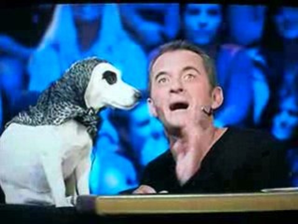 Un amour de chien