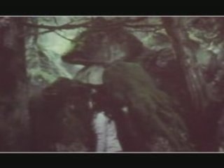 Twilight Montage  - River Flows In You