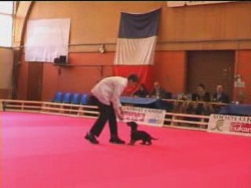 GPF 2008 10
