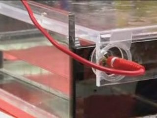 Revolutionizing Stem Cell Therapy: €3M EU Grant for Umbilical Cord Cell Expansion 🌱