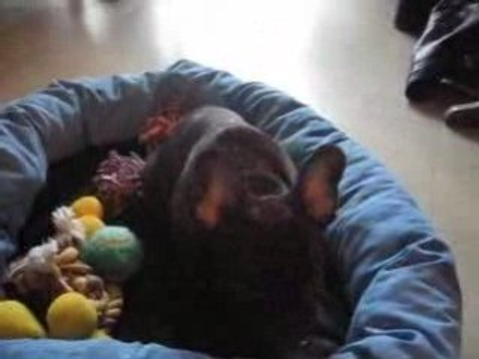 Attaque de Bouledingue