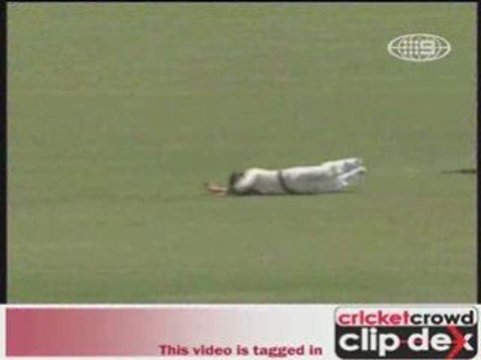 Pntg catch_to_DivX_clip0