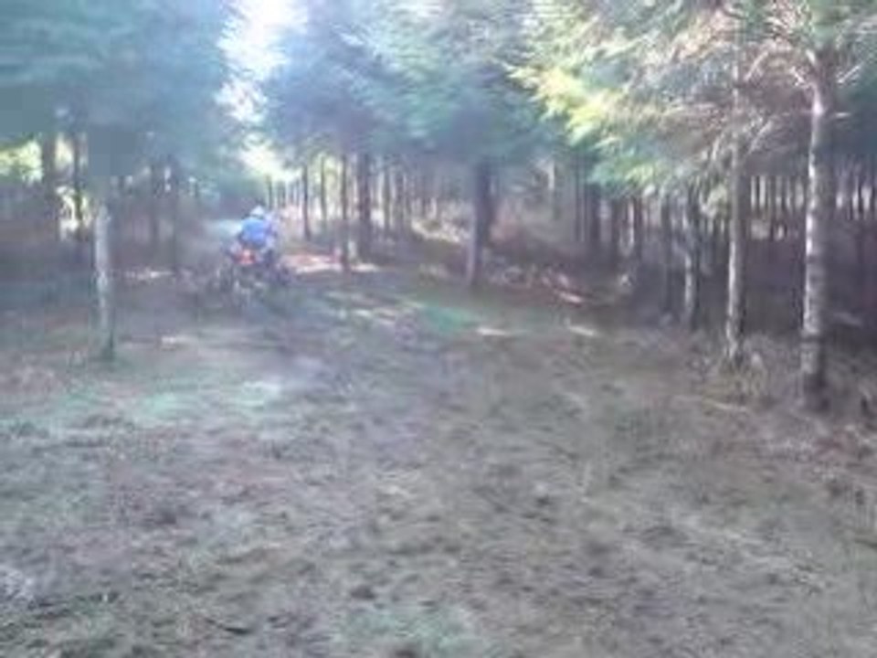 MOn frére ce pilote 350 raptor