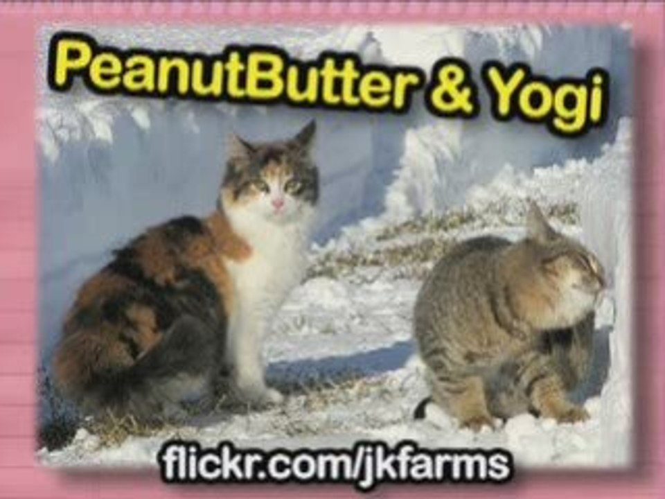 Ultra Kawaii - First Snow!