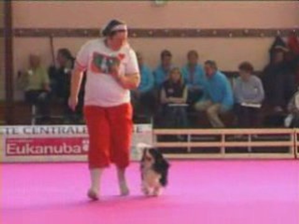 GPF 2008 17