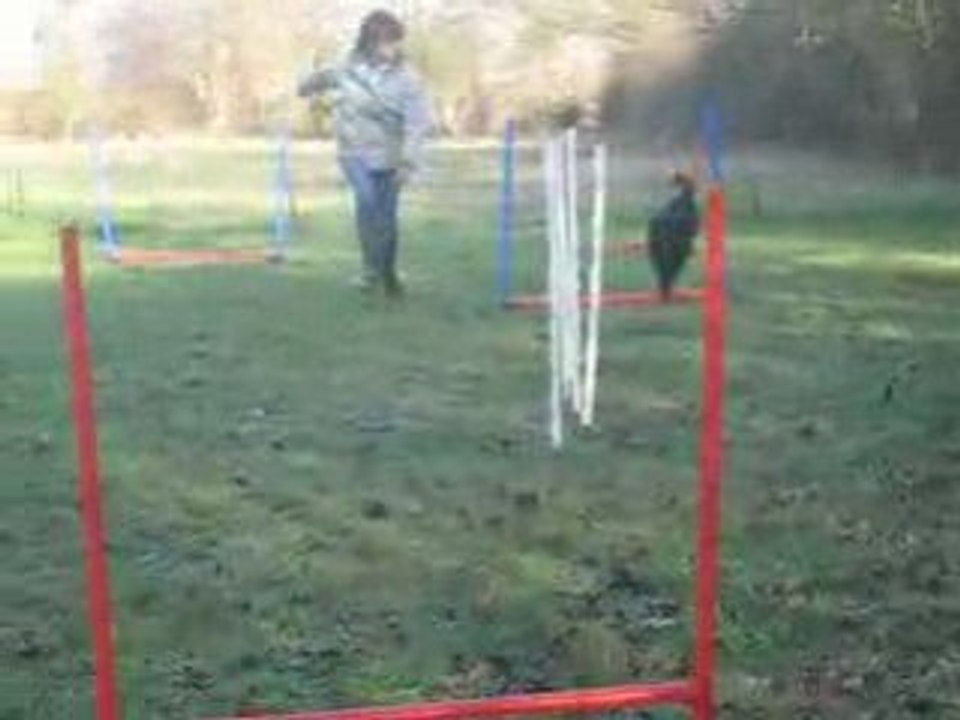 Doumy agility 2 12 08 2