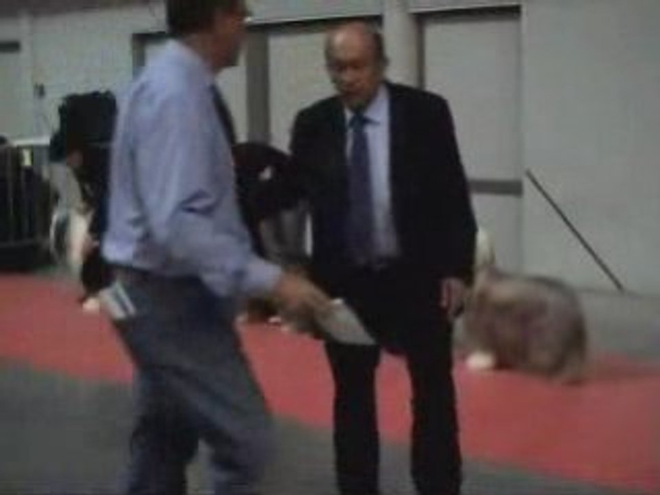 MARTIGUES, SPECIALE DE RACE