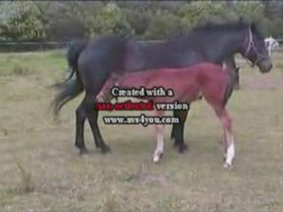 Umbre mai2008