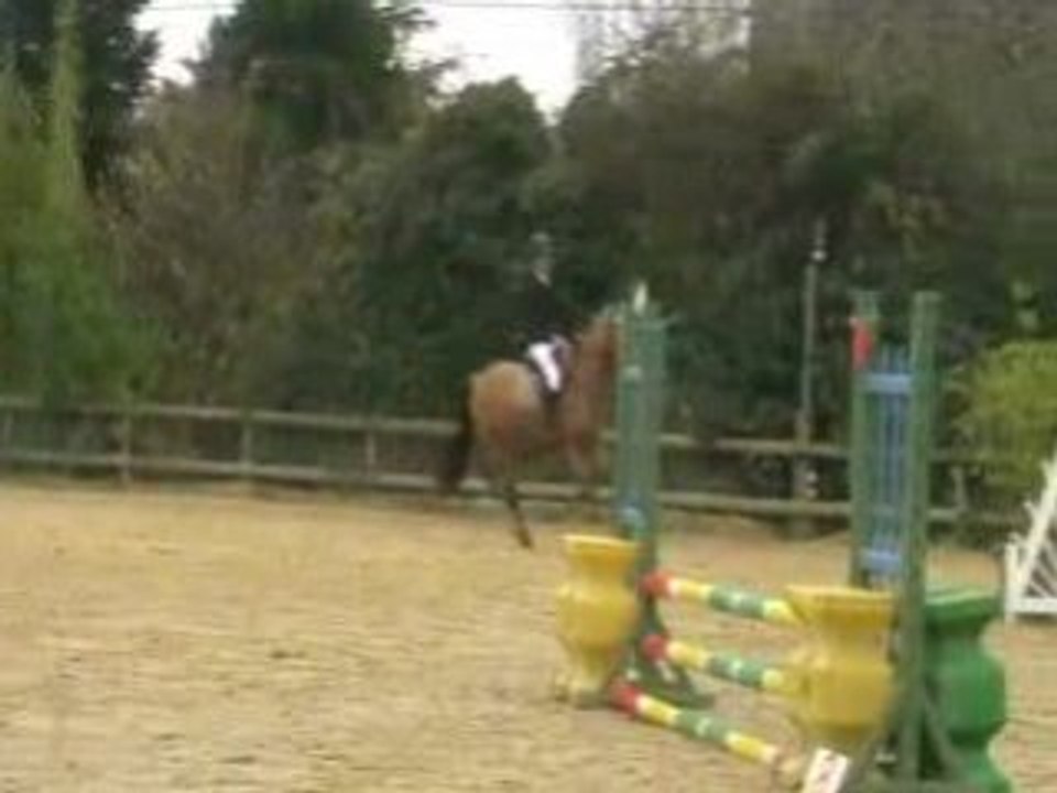 Laure et Mickey, 16.11.08, Ste Luce sur Loire Club 4