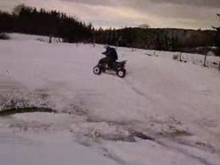 lémir sur quad dinli 450