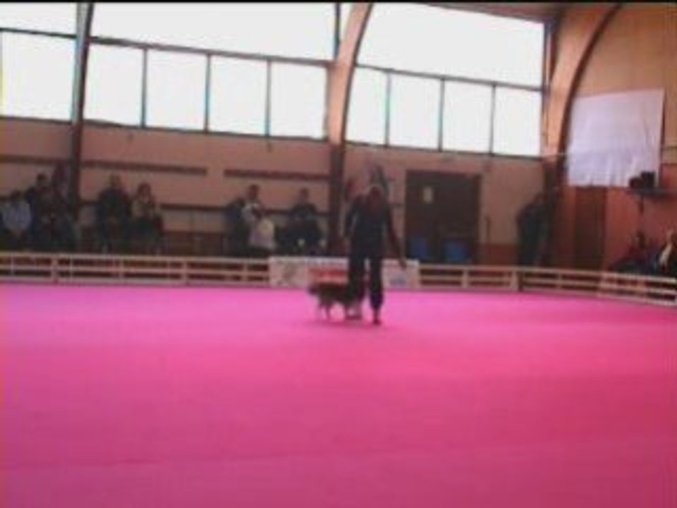 GPF 2008 24