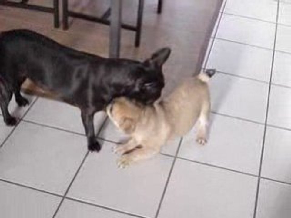 nina et diego