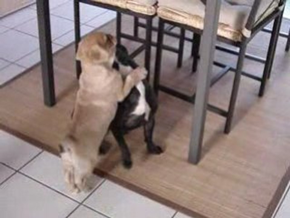 diego et nina