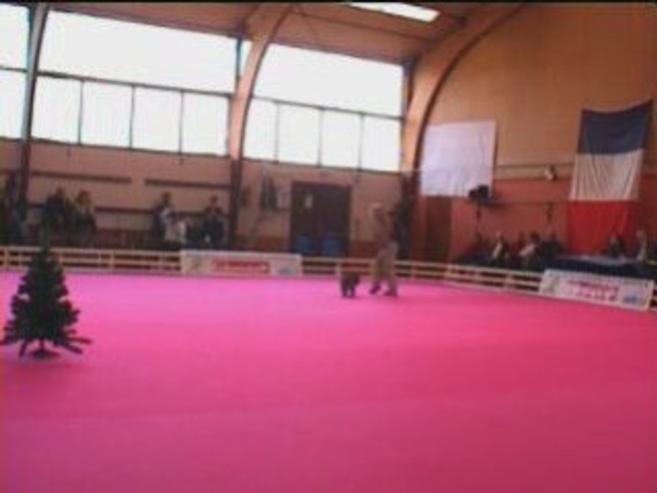 GPF 2008 25