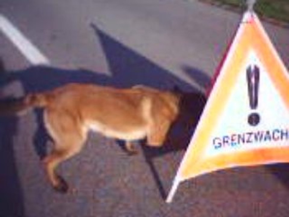 panneau garde frontiere