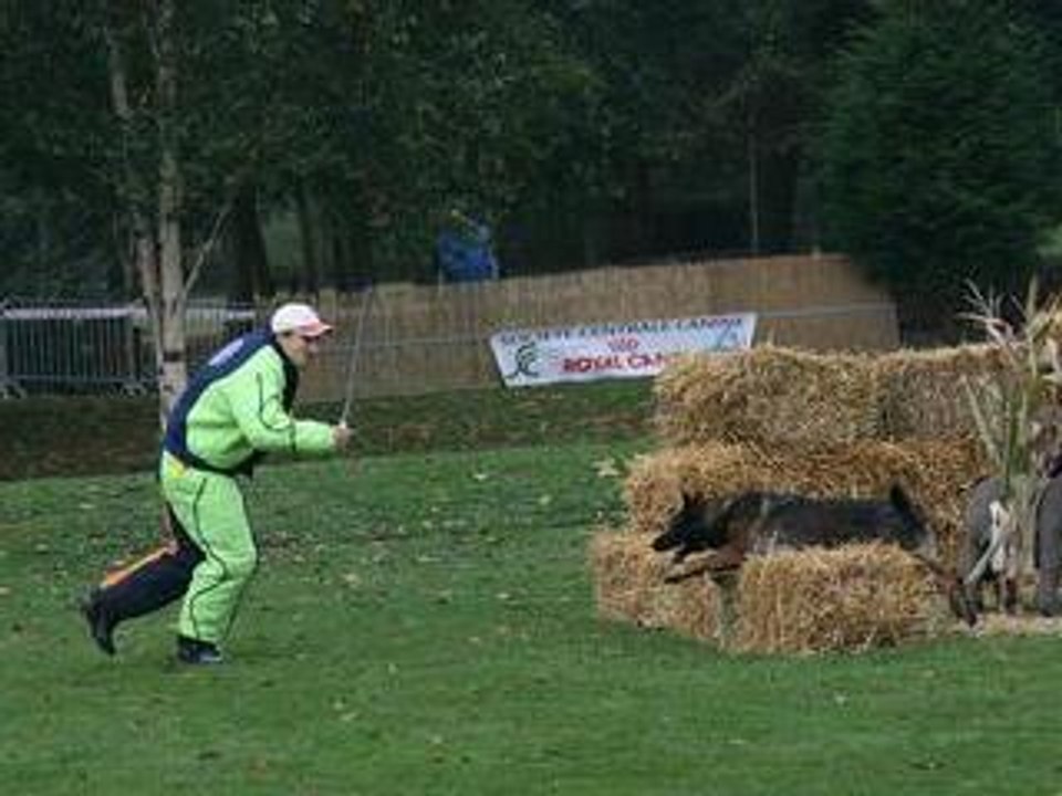 Campagne - Utopia à Villers Saint Paul