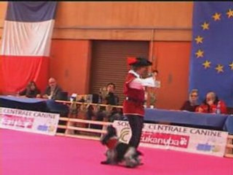 GPF 2008 26