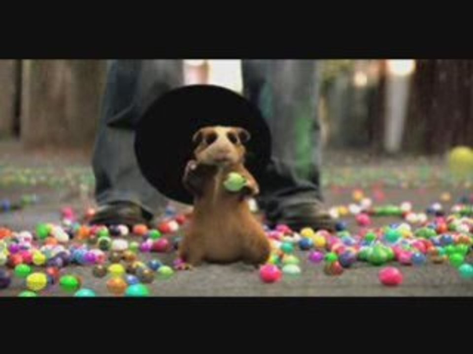 Hamster Eats Candy