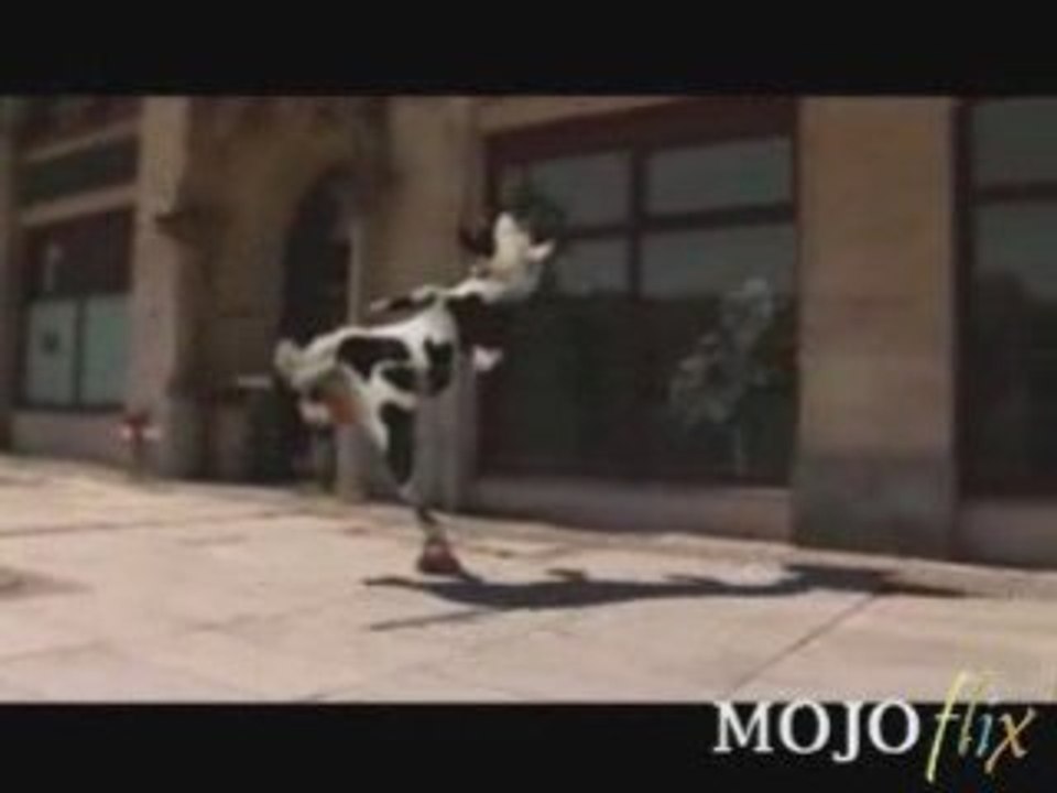 mojo
