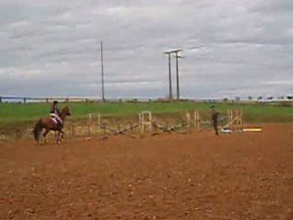 Tich cours saut novembre 08 (10)