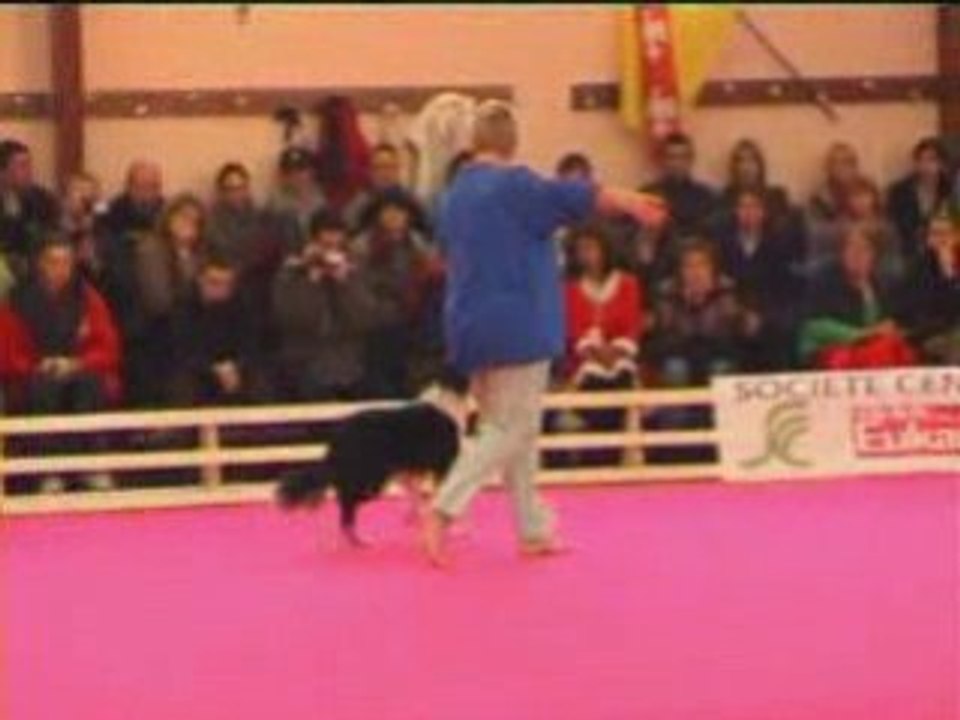 GPF 2008 33