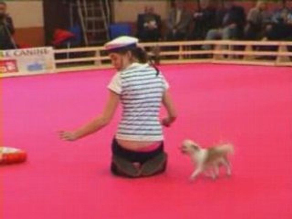 GPF 2008 34