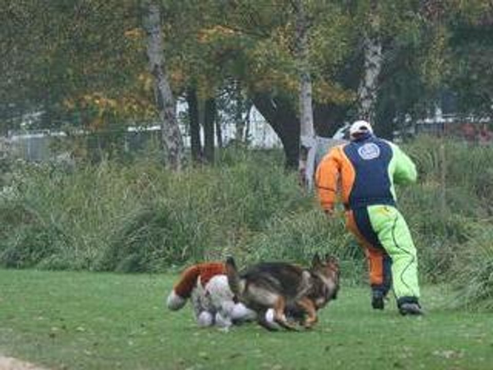 Campagne - Portos dit Ralph à Villers Saint Paul