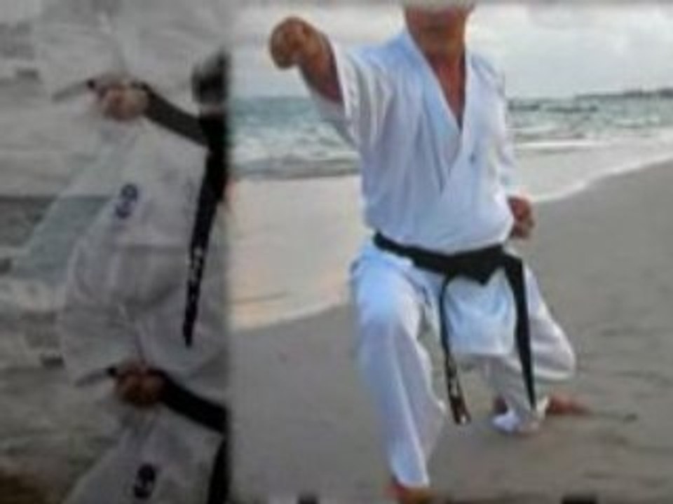 AKSER Brasil Karate-do Shotokai EgamiRyu (2)