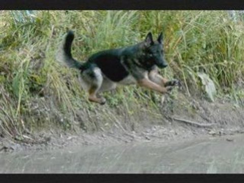Campagne - Vika à Villers Saint Paul