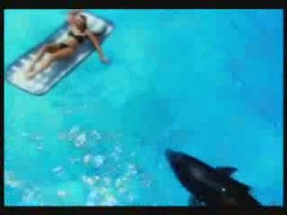 Lachvandedag.nl - Gevaarlijke haai?