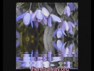 Problem Solving with EFT and Ho'oponopono Guided Meditation