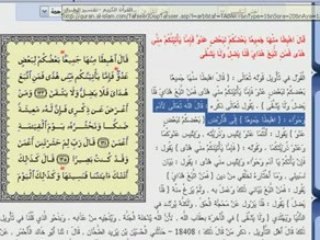 لا تكليف في القرآن في الجنة يجوز للمسلم نكاح أخته و خالته و