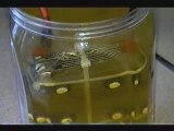 Hydrogen Fuel Cell - How To Make Hydrogen Gas from Water