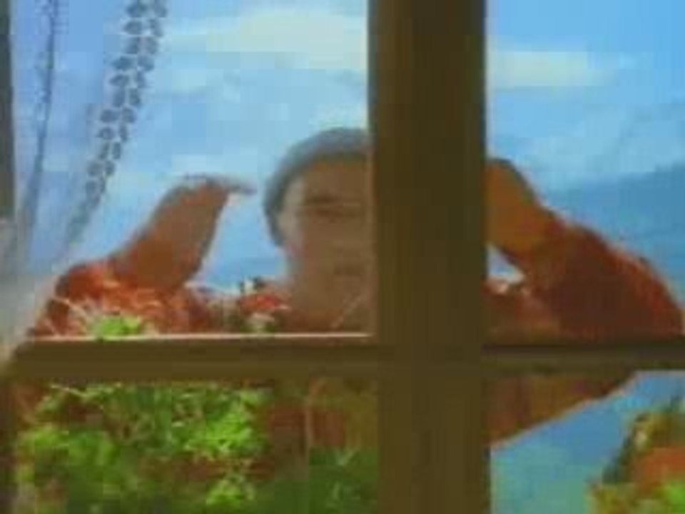 pub milka la marmotte