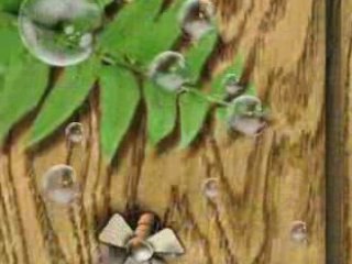 Saving Bug - iPhone and iPod touch gam