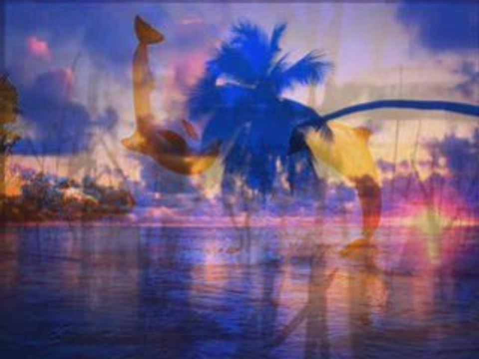 ENIGMA - THE DREAM OF THE DOLPHIN