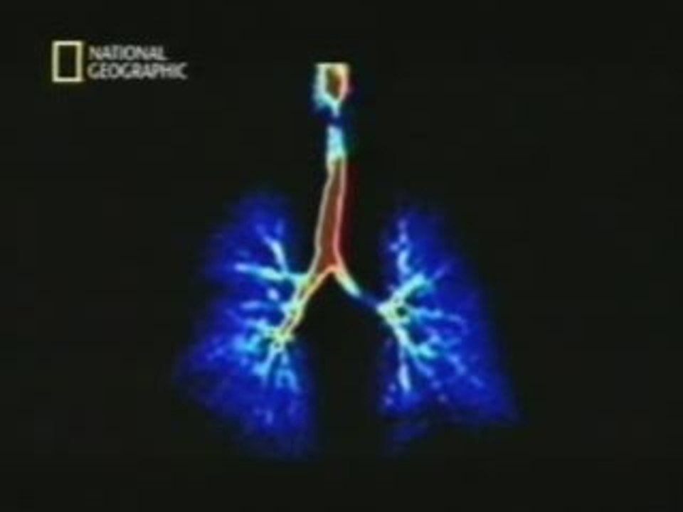La respiracion Vídeo Dailymotion