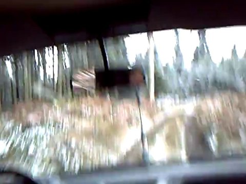 Suzuki Rando Azergues 2008 CLIP0001