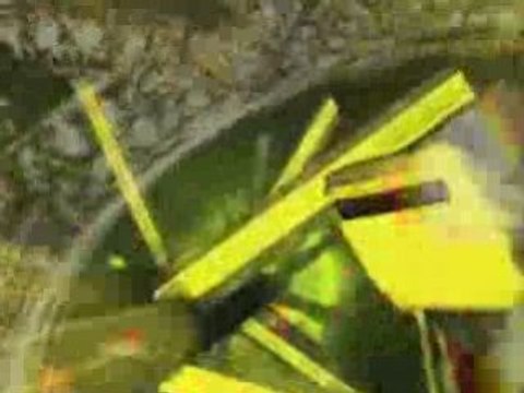 Tunnel prison , bague chaumet