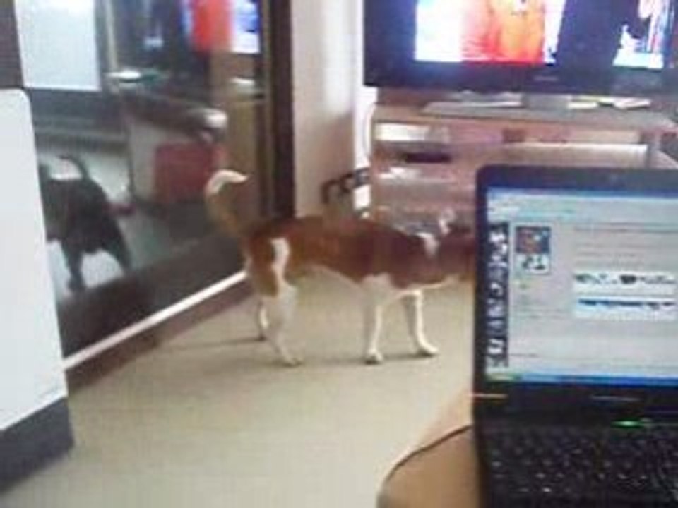 cody regarde la télé