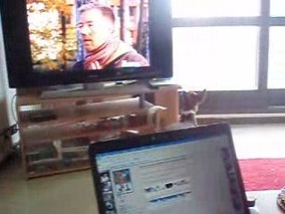cody regarde la télé