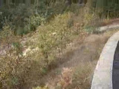 saxo vts petite special improviser