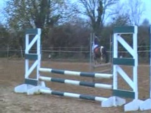 Concours poneys 16/11/08 avec Irokwa