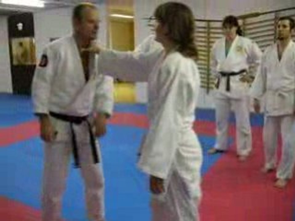 Entraînement de tai-jitsu