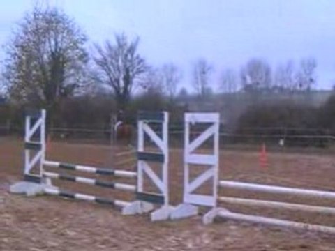 Concours poneys 16/11/08 avec Illico