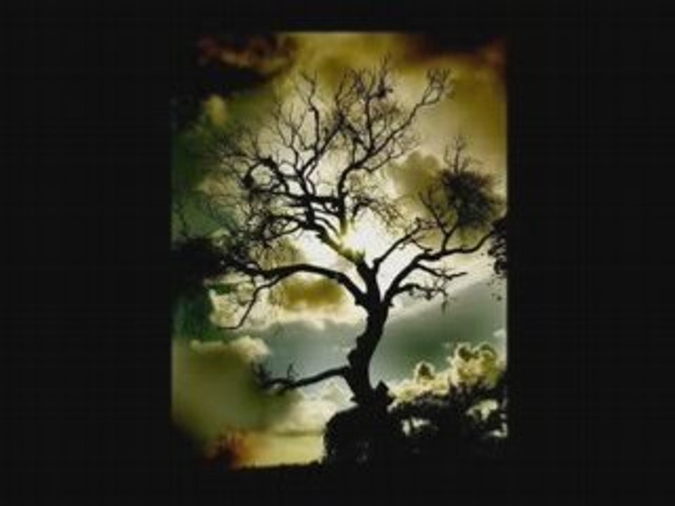 Saban saulic sadravani (превод)