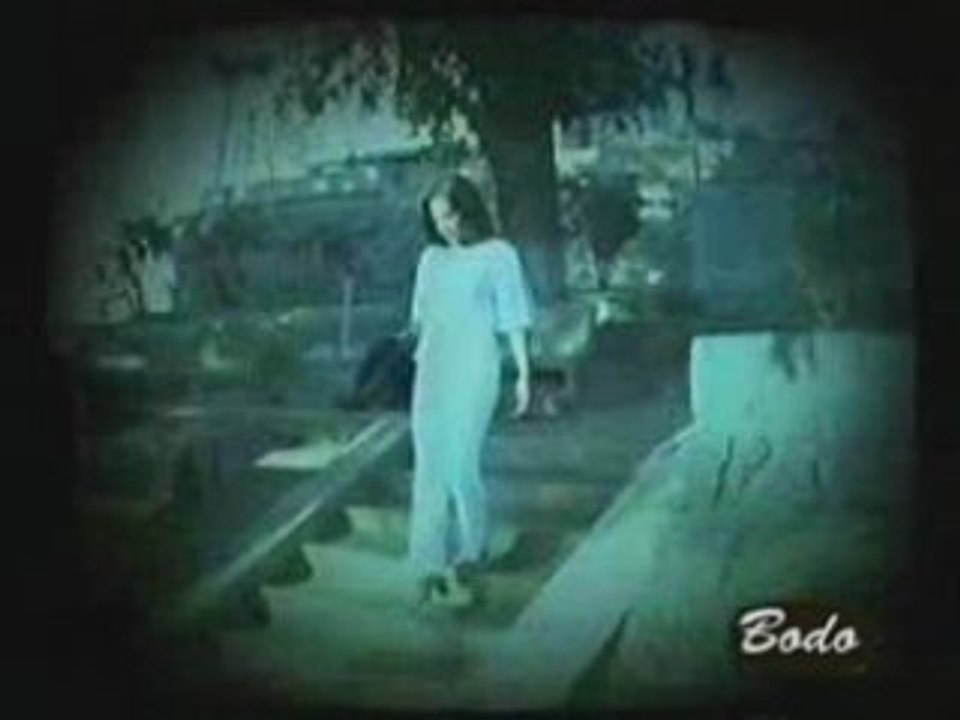 BODO - Ankino