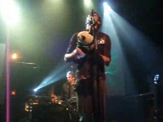 Cocoon live : owls   très bonne qualité !