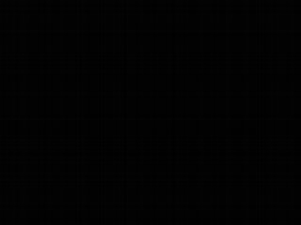 Chris au concert de lyon le 08/04/2008